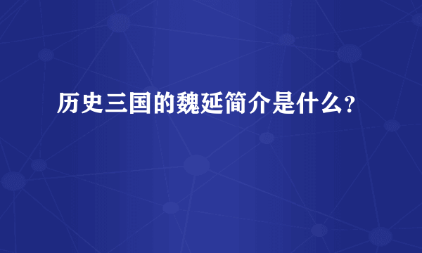 历史三国的魏延简介是什么？