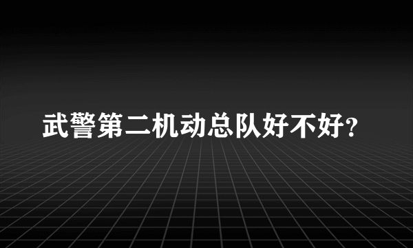 武警第二机动总队好不好？