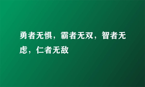 勇者无惧，霸者无双，智者无虑，仁者无敌