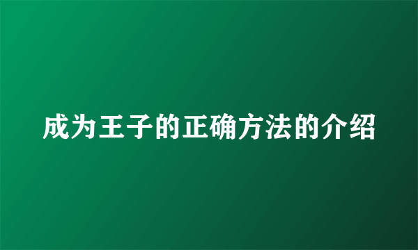 成为王子的正确方法的介绍