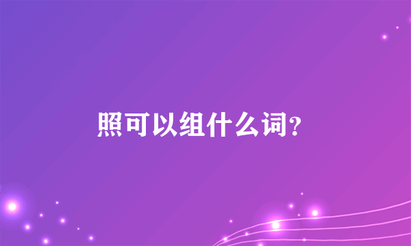 照可以组什么词？