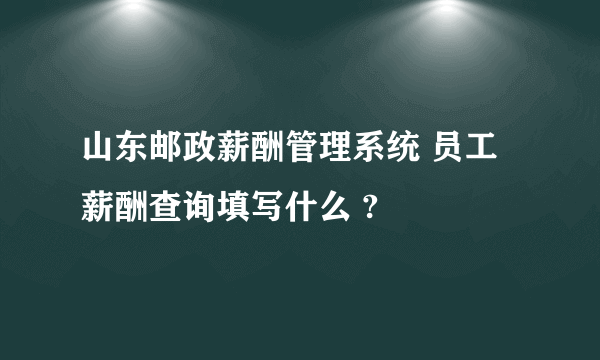 山东邮政薪酬管理系统 员工薪酬查询填写什么 ?