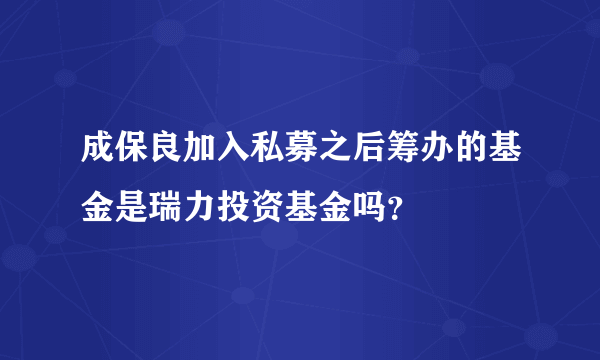 成保良加入私募之后筹办的基金是瑞力投资基金吗？