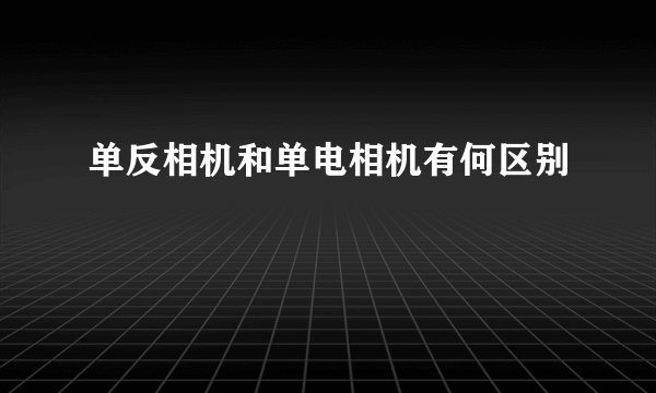 单反相机和单电相机有何区别