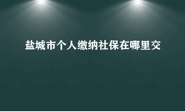 盐城市个人缴纳社保在哪里交