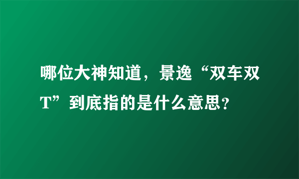 哪位大神知道，景逸“双车双T”到底指的是什么意思？