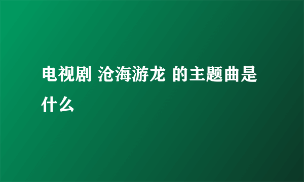 电视剧 沧海游龙 的主题曲是什么