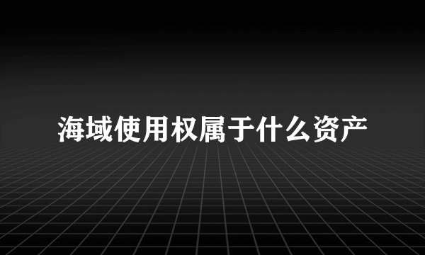 海域使用权属于什么资产