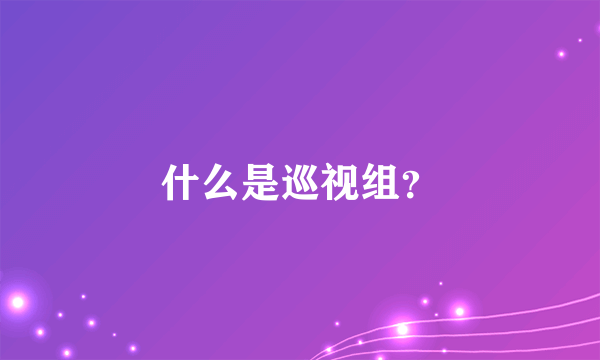 什么是巡视组？