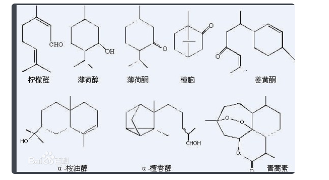 52种萜烯类物质是什么？