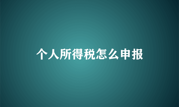 个人所得税怎么申报