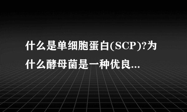 什么是单细胞蛋白(SCP)?为什么酵母菌是一种优良的单细胞蛋白?