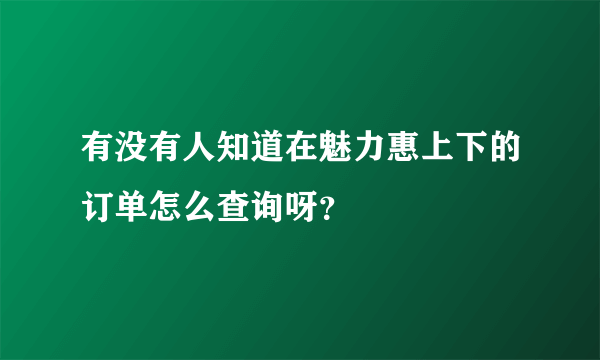 有没有人知道在魅力惠上下的订单怎么查询呀？