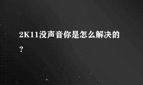 2K11没声音你是怎么解决的？