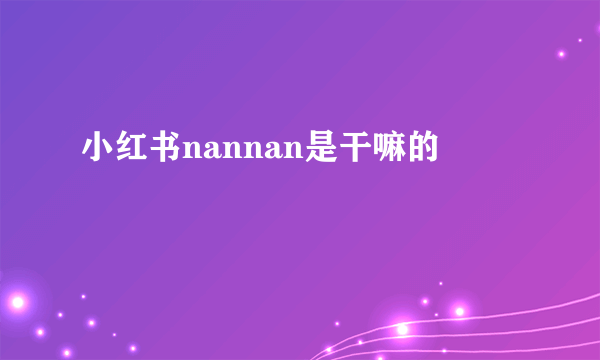 小红书nannan是干嘛的