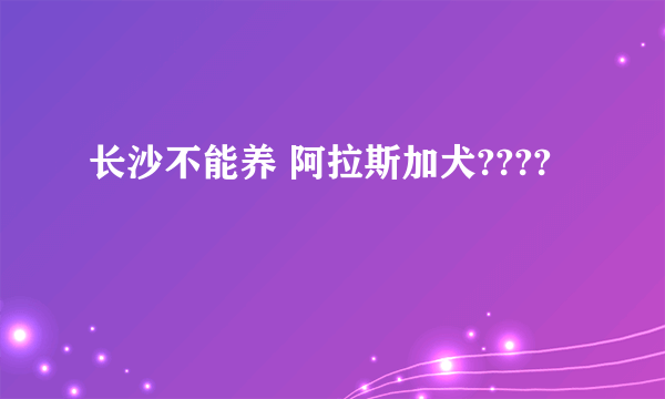 长沙不能养 阿拉斯加犬????