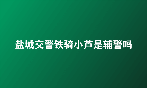 盐城交警铁骑小芦是辅警吗