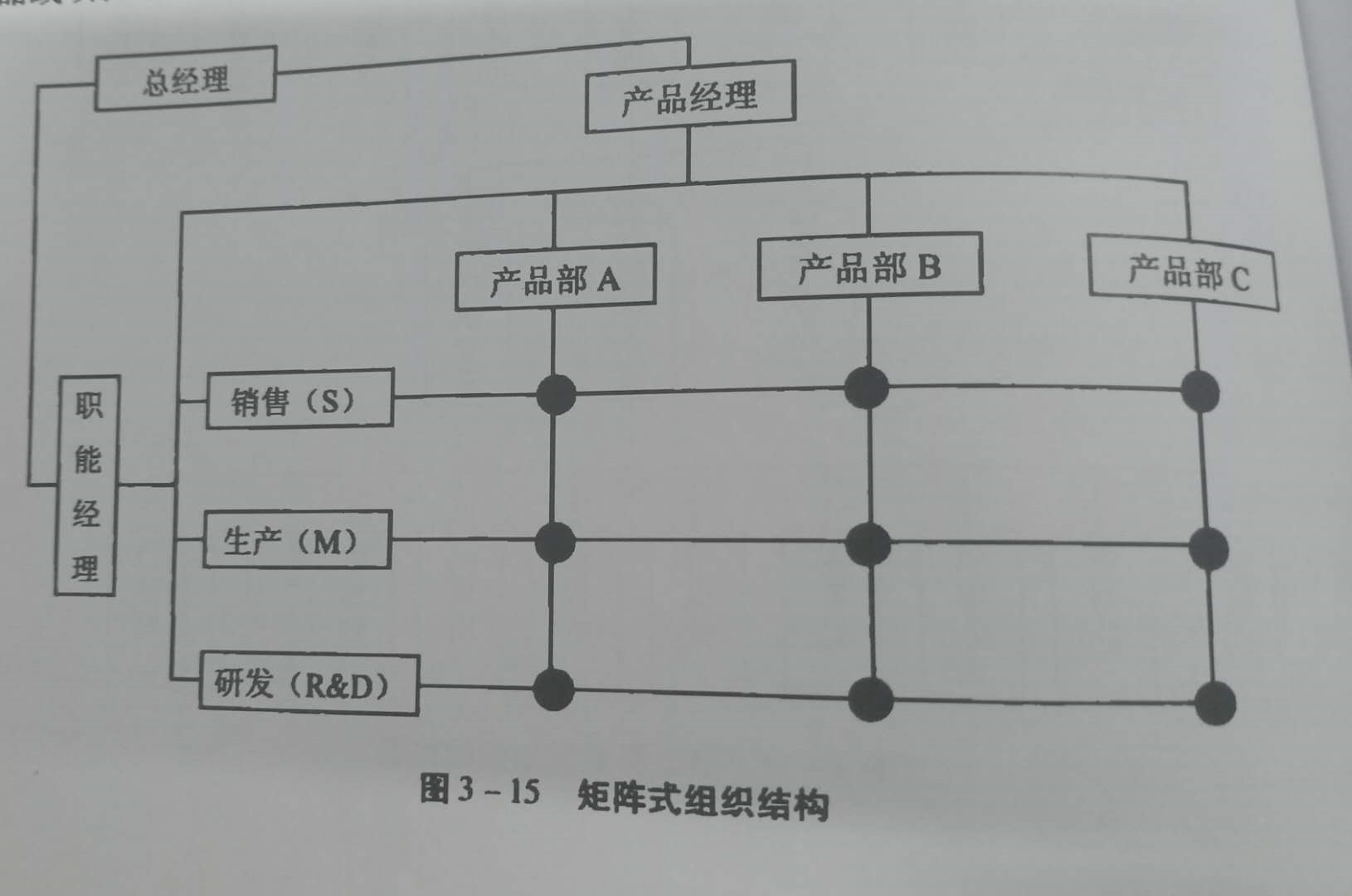 公司组织结构是什么？