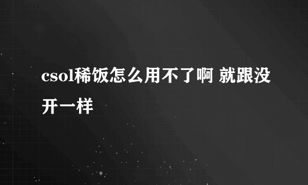 csol稀饭怎么用不了啊 就跟没开一样