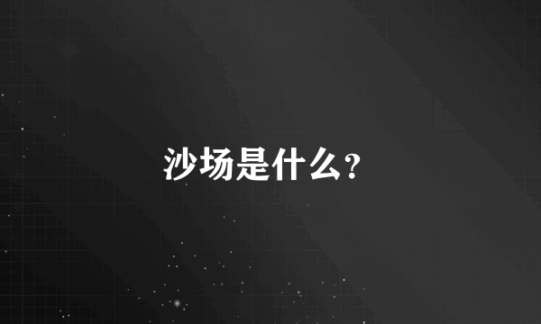 沙场是什么？