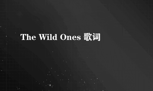 The Wild Ones 歌词