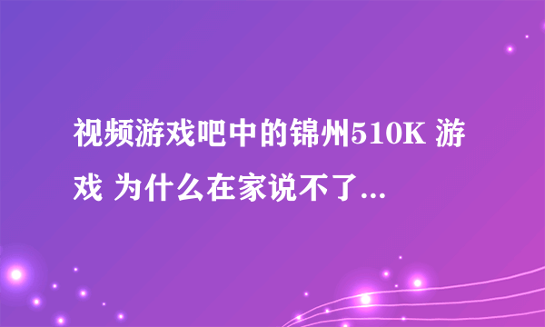 视频游戏吧中的锦州510K 游戏 为什么在家说不了话啊 在网吧就可以 求高手解答 谢谢 跪求