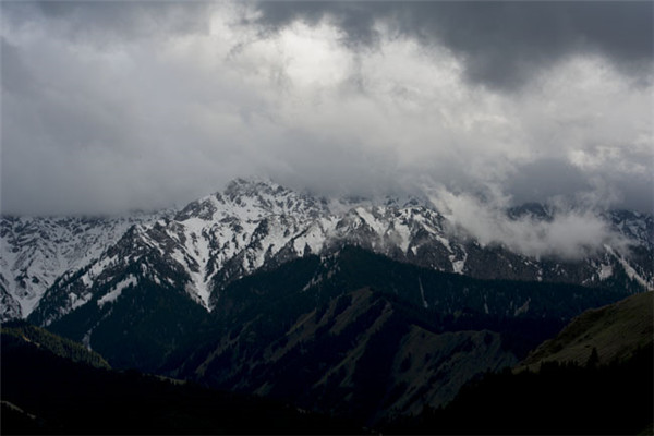 “山雨”的解释是什么？