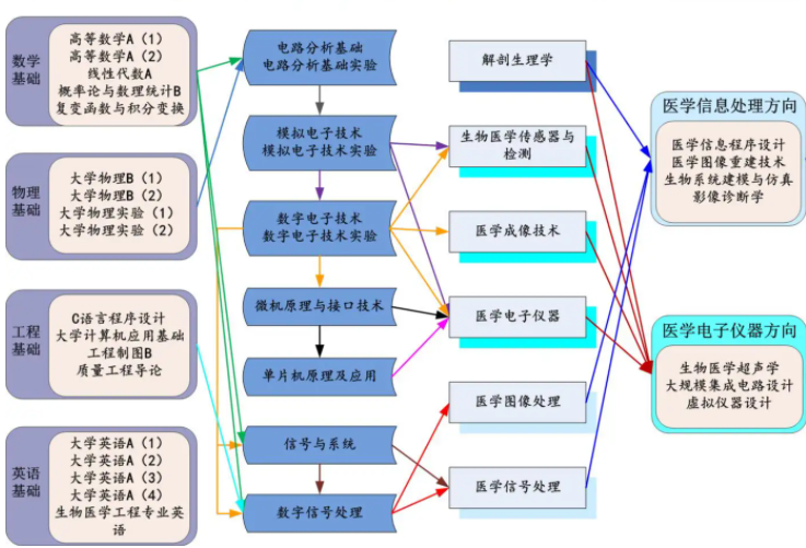 bme是什么专业