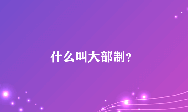 什么叫大部制？