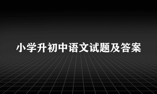 小学升初中语文试题及答案