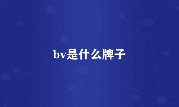 bv是什么牌子