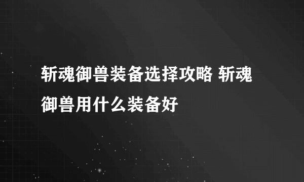 斩魂御兽装备选择攻略 斩魂御兽用什么装备好