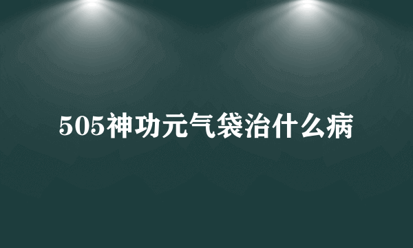 505神功元气袋治什么病