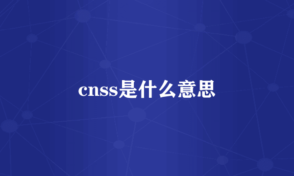 cnss是什么意思