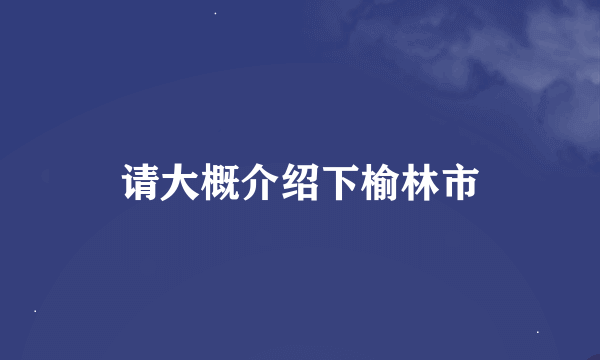 请大概介绍下榆林市