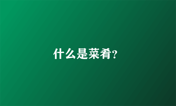 什么是菜肴？