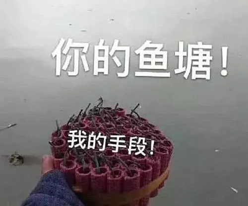 鱼塘是什么意思