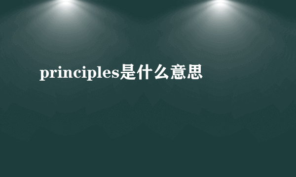 principles是什么意思