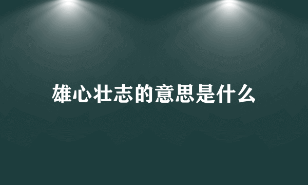 雄心壮志的意思是什么