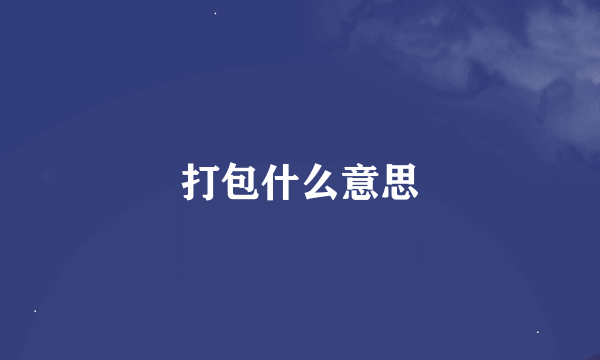 打包什么意思