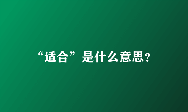 “适合”是什么意思？