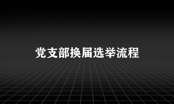 党支部换届选举流程