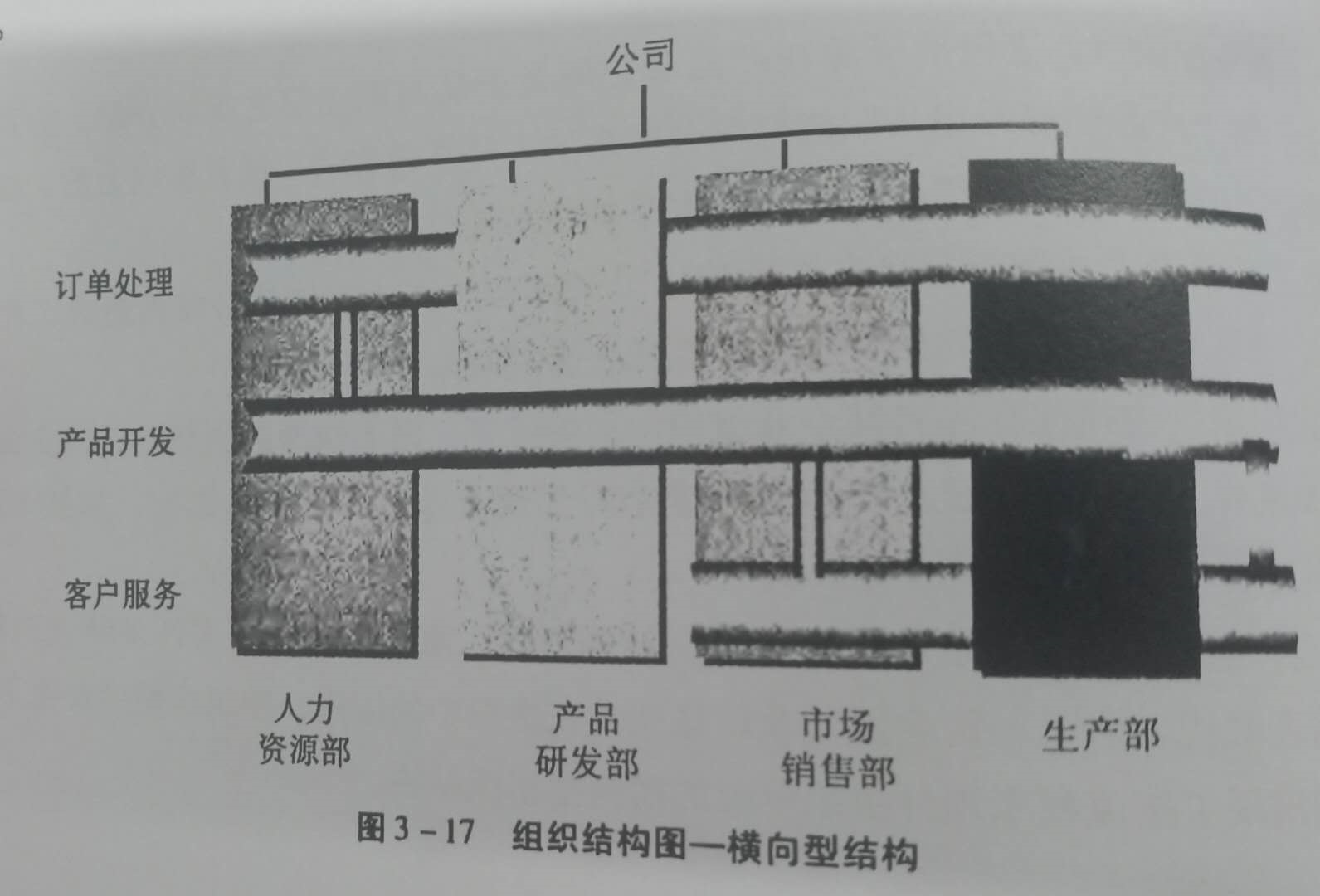 公司组织结构是什么？