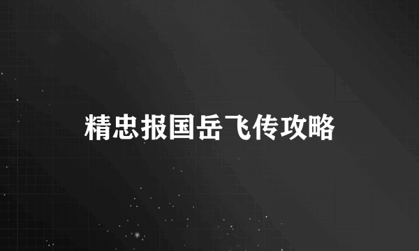 精忠报国岳飞传攻略