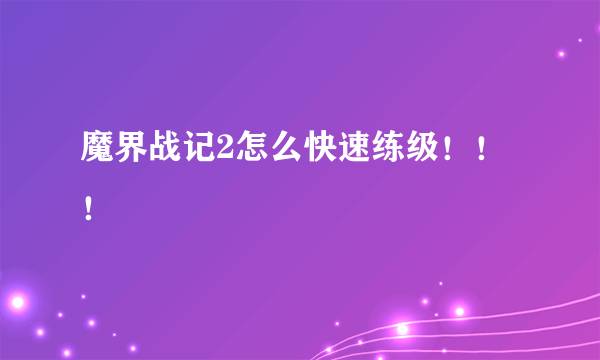 魔界战记2怎么快速练级！！！