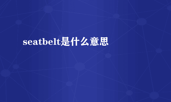 seatbelt是什么意思