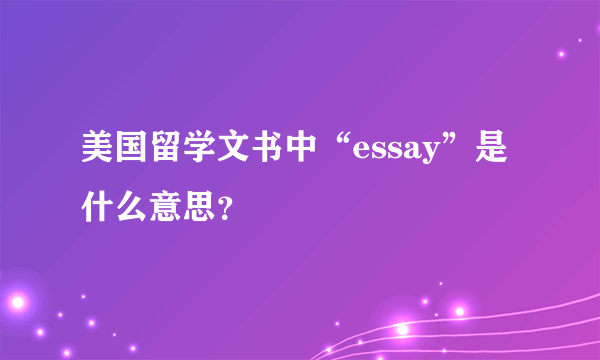 美国留学文书中“essay”是什么意思？