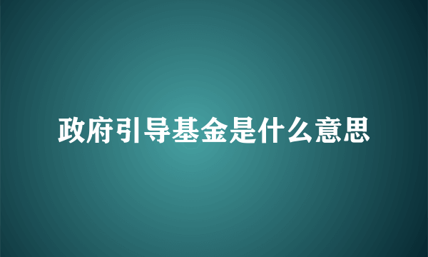 政府引导基金是什么意思