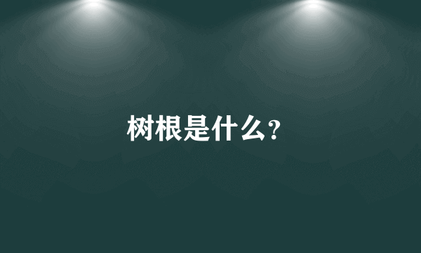 树根是什么？