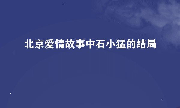 北京爱情故事中石小猛的结局